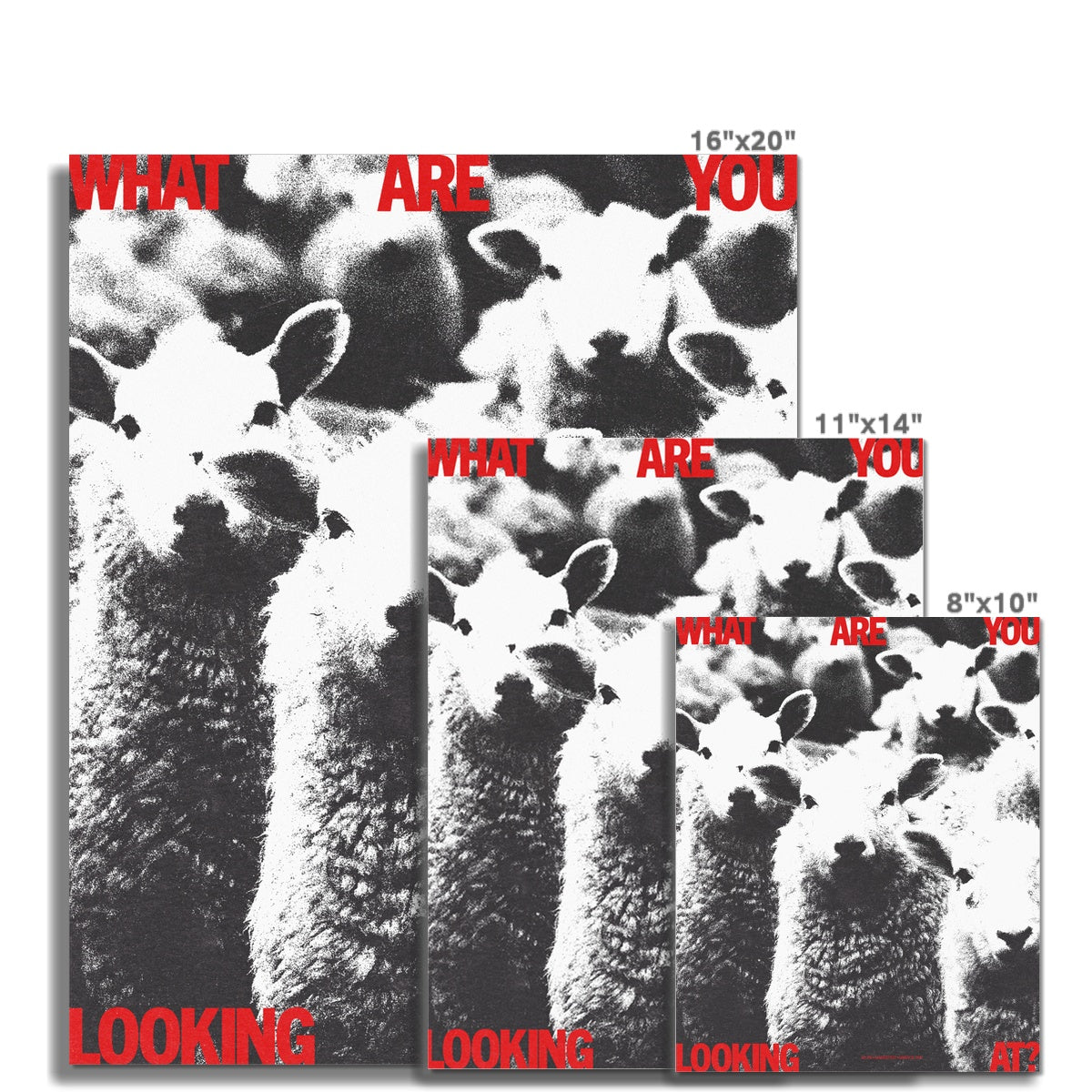 No. 295 What Are You Looking At? Poster