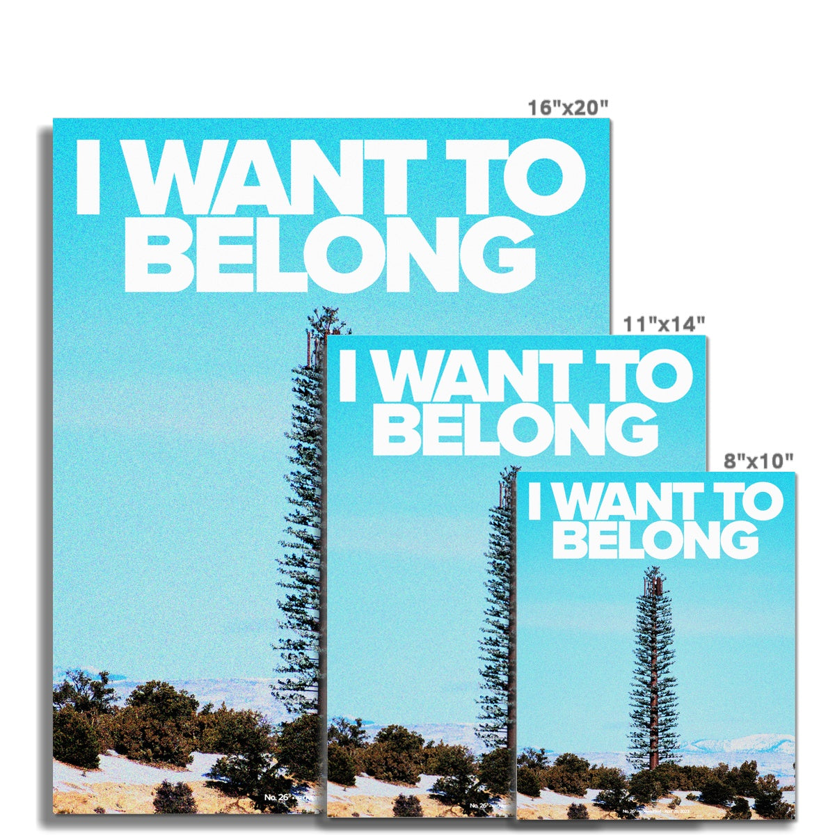 No. 026³ I Want to Belong Poster