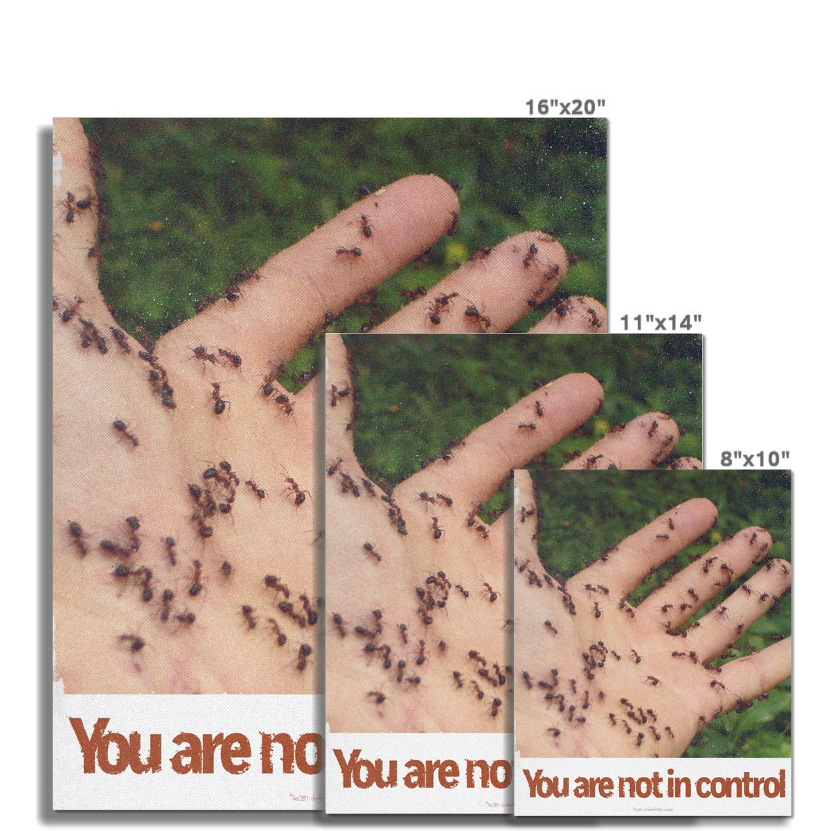 No. 280 You Are Not in Control Poster