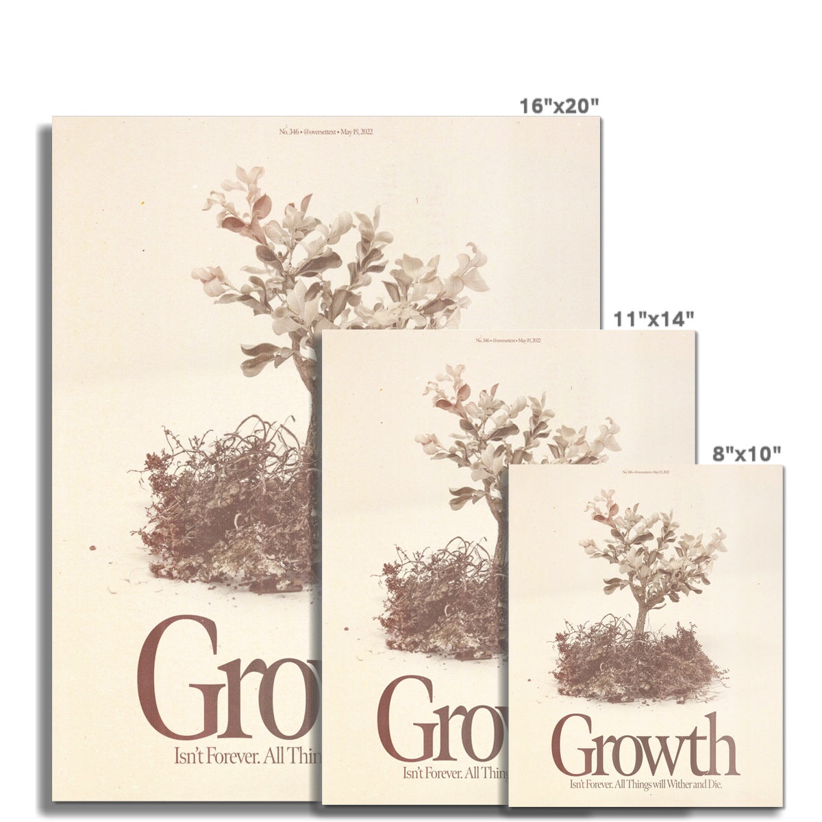 No. 346 Growth Poster