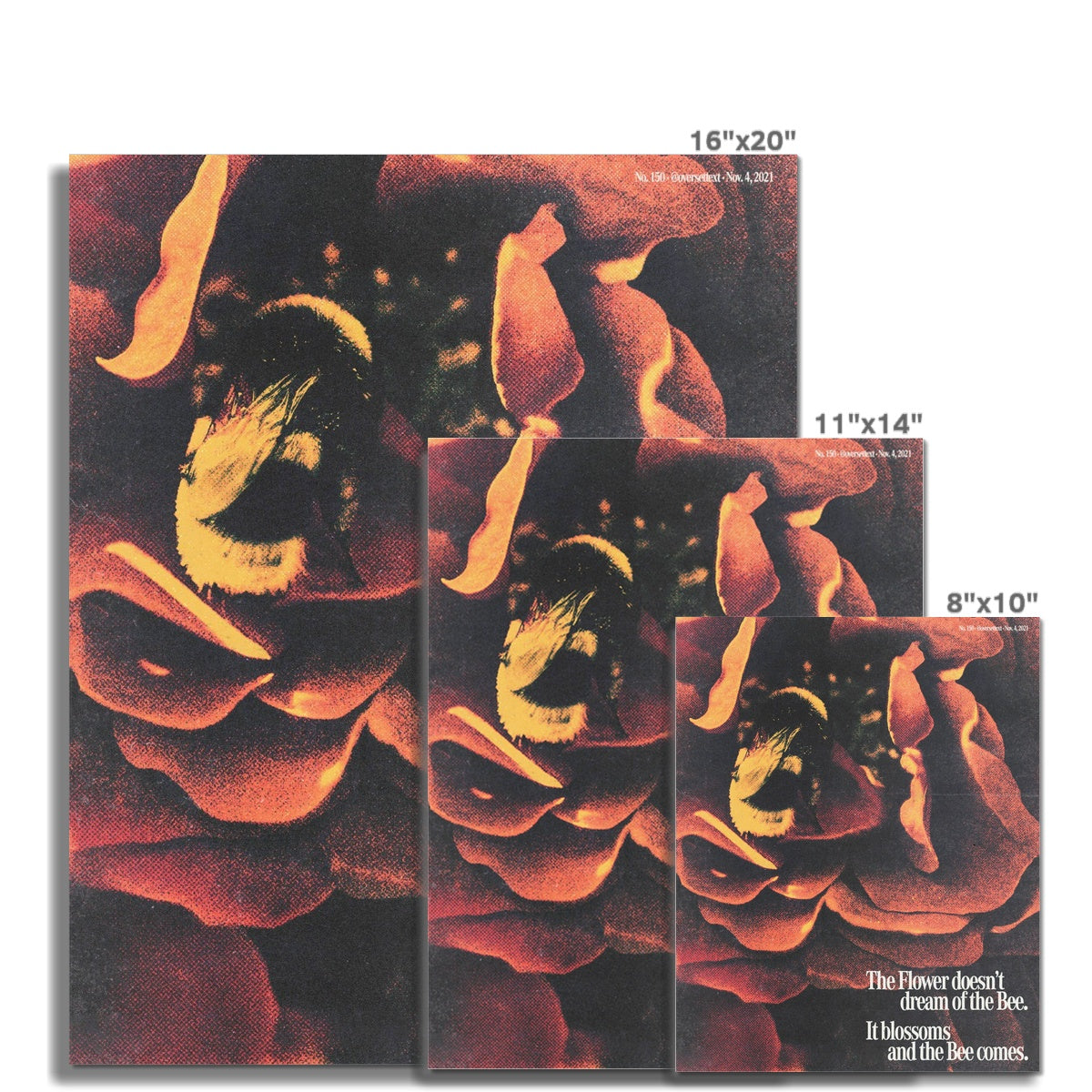 No. 150 The Flower doesn't dream of the Bee Poster