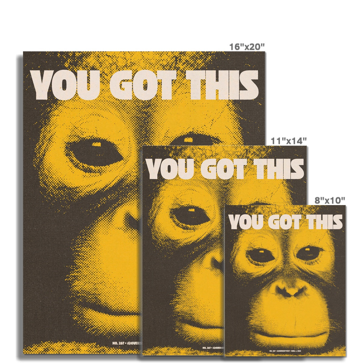 No. 267 You Got This Poster