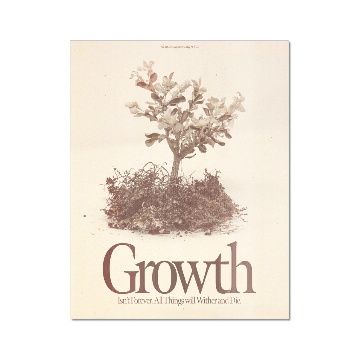 No. 346 Growth Poster