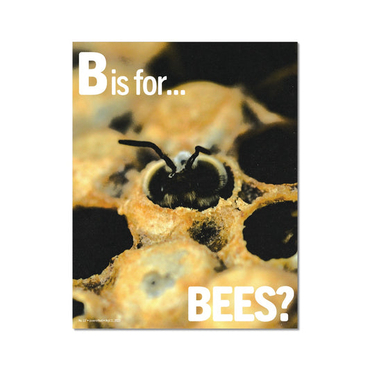 No. 011 B is for Bees? Poster