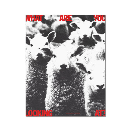 No. 295 What Are You Looking At? Poster