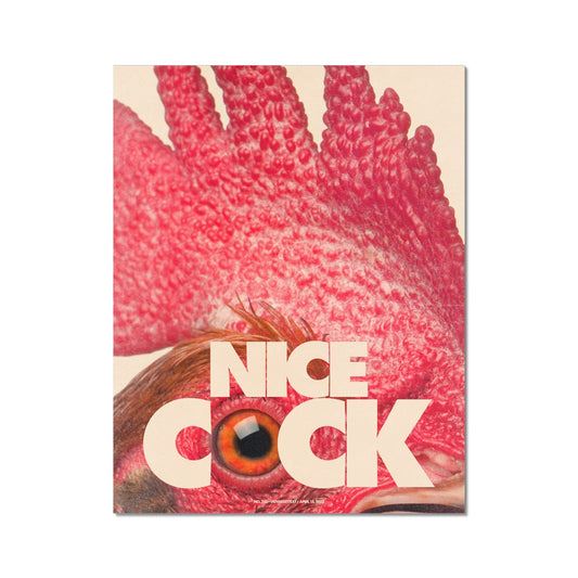 No. 312 Nice Cock Poster