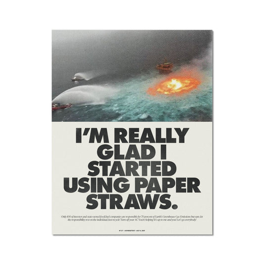 No. 027 The Paper Straw Poster